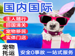 宜昌三峡机场空运国际宠物托运 【国